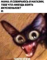 chipseki-mems.jpg