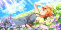 448UR-Hoshizora-Rin-It-feels-so-good-to-lay-around-signs-of[...].png