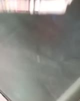 1621946676616.mp4