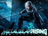 940286metal-gear-rising-wallpaper-jpg2880x1800h.jpg