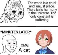 g4luMyJw3Sk.jpg