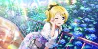 477UR-Ayase-Eli-Not-bad-for-a-change-Glistening-Flower-in-t[...].png