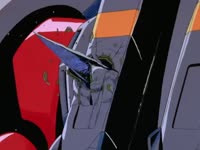 16135919504620.webm