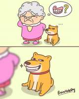 Комиксы-бабушка-собака-doge-6784202.jpeg