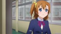 Sunny PAA.mp4