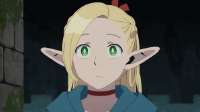 marcille-donato.png