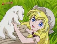 .webp