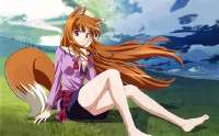holo.jpeg