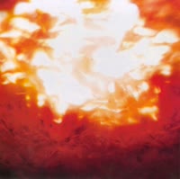 89f578852e35.webm
