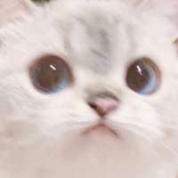 1764798036767.jpg