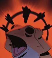 IMG8677.jpeg