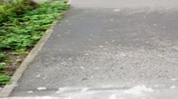 VID20250518151725.mp4