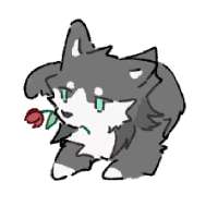 1749867287086293.gif