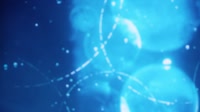 1751784007758.webm