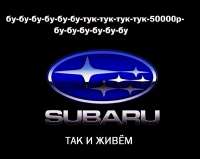 17503420325640.jpg
