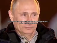 t.mp4