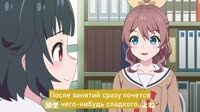 13.mp4