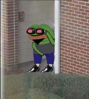 .jpg