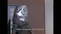 Ultraman Without Context.mp4
