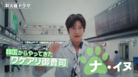 Hatsukoi DOGs PR.mkv