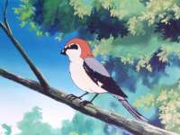 [Kagura] Urusei Yatsura - 176 [BDRip 1280x960 x264 Hi10P FLAC].mkvsnapshot02.07[2002.01.0117.56.45].jpg