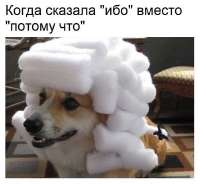 1682332177789.jpg