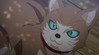 900801918.webm