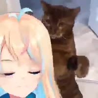 17464695258400.webm