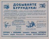 P2658.jpg