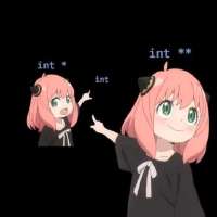 anyaptr.jpg