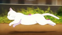 Twins Hinahima1.mp4