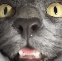 1641260042609.webm