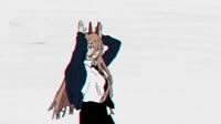 17227529704480.mp4