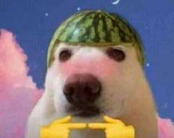 IMG9174.jpeg