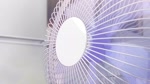 1619238939885.webm