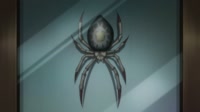 1666737842702.webm