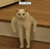532x530