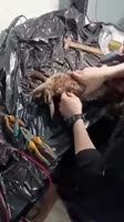 blesseddrone.webm