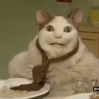 yaball.mp4