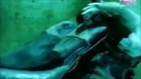 Music Instructor - Hymn 1995.mp4