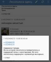 1755230549894.jpg