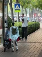 17569203977370.mp4