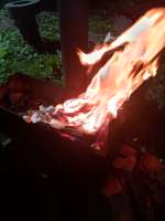 IMG20250625011520.jpg