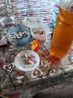 IMG20250626210054.jpg