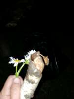 IMG20250626231159.jpg