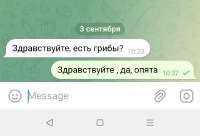 IMG20250903103940.png
