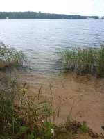 IMG20250906145641.jpg