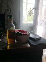 IMG20260715104856.jpg