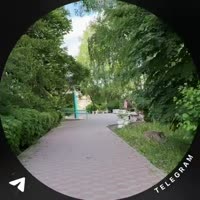 video (19).mp4