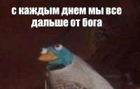 V-XaCDf0BNY.jpg
